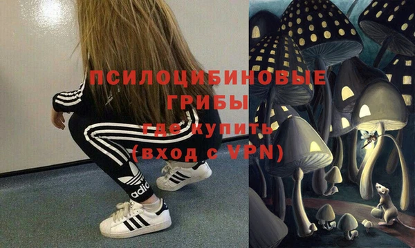прущая мука Козловка