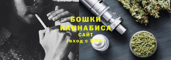 дмт Нестеровская