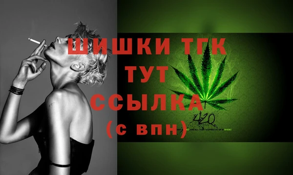 МДПВ Козельск