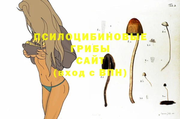 мдпв Киреевск
