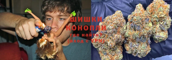 МДПВ Козельск