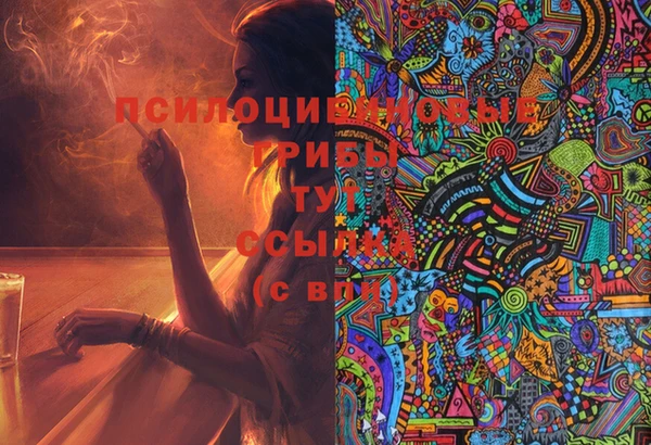 мдпв Киреевск
