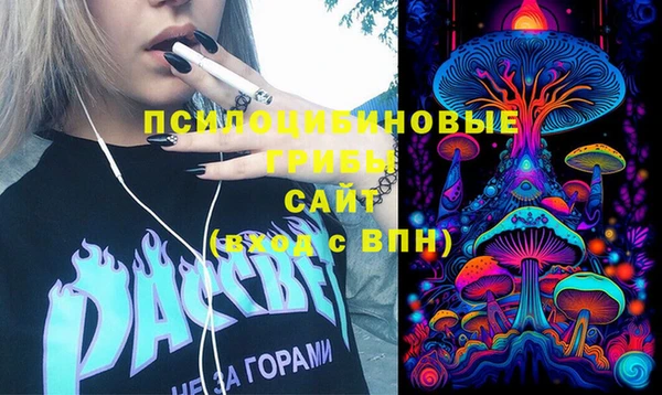 прущая мука Козловка