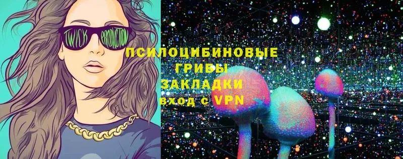 Галлюциногенные грибы Magic Shrooms  Невинномысск 