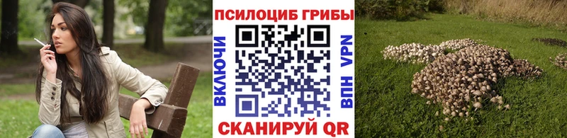 Псилоцибиновые грибы мухоморы Невинномысск