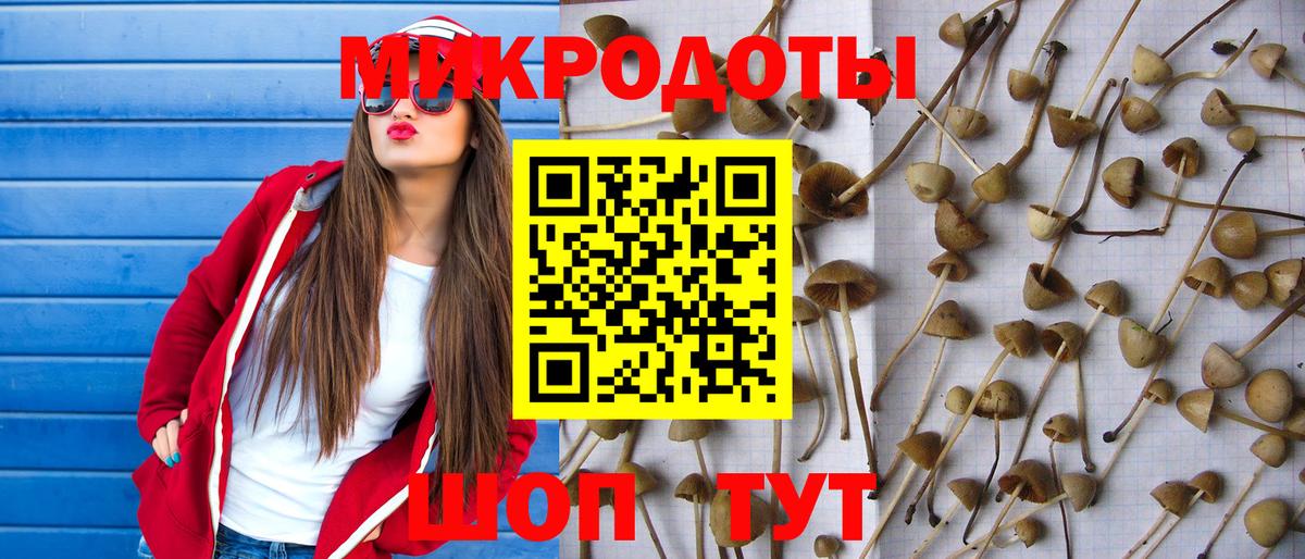 ГАШ Невинномысск